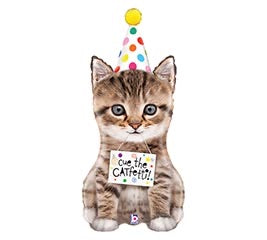Cue The Catfetti Balloon (36 Inch)