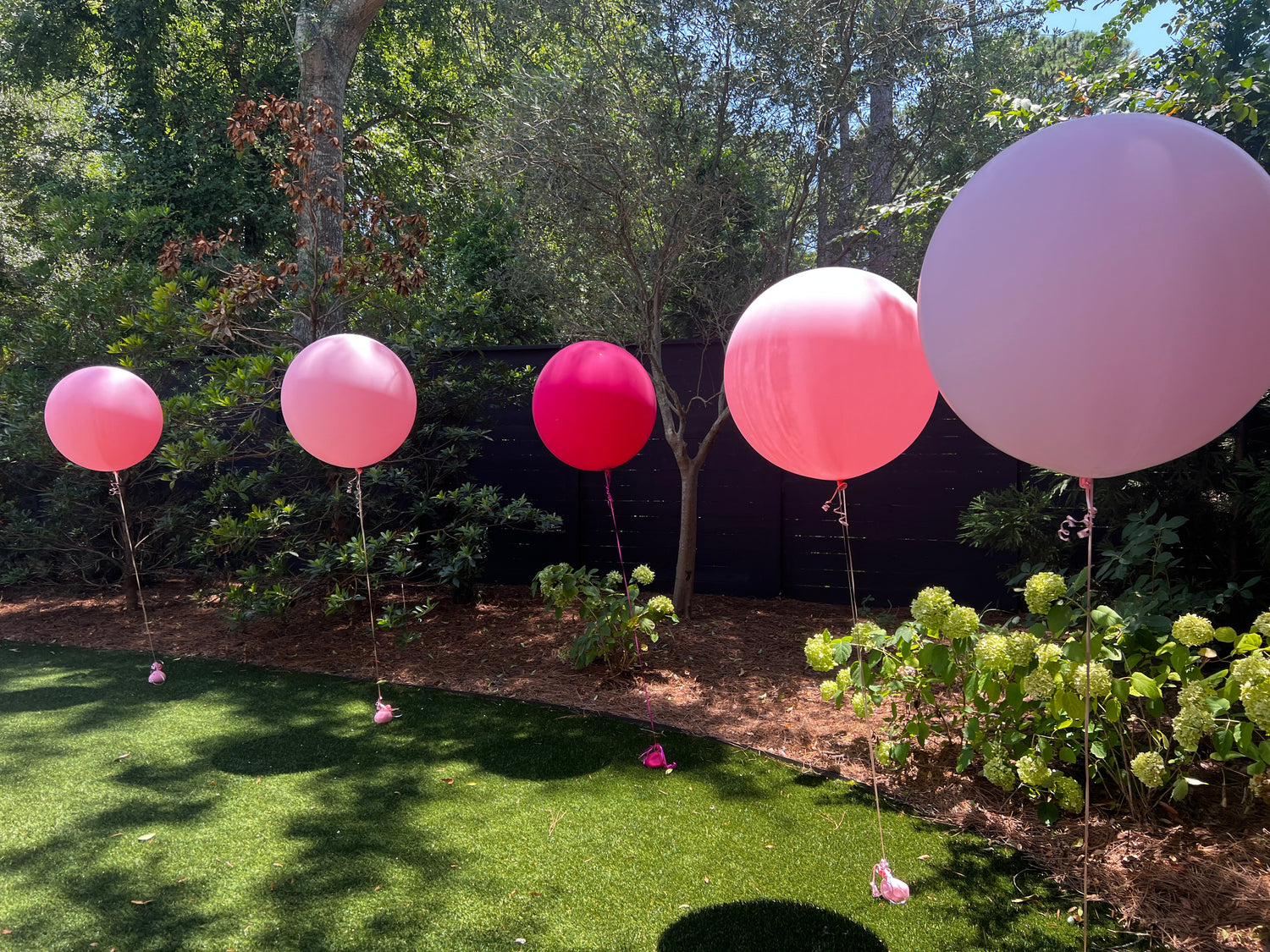 Balloon Decor Packages