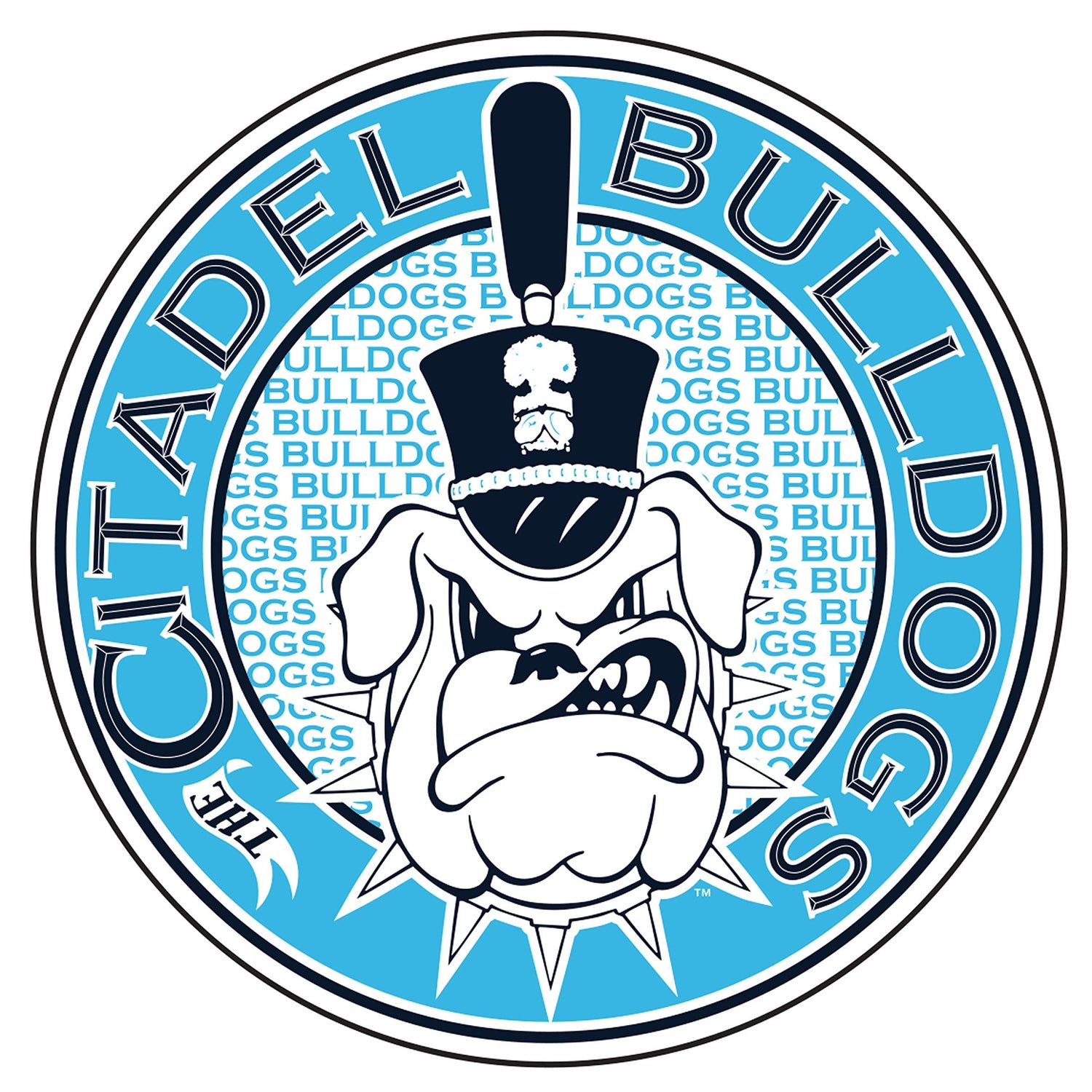 The Citadel Military College Balloons