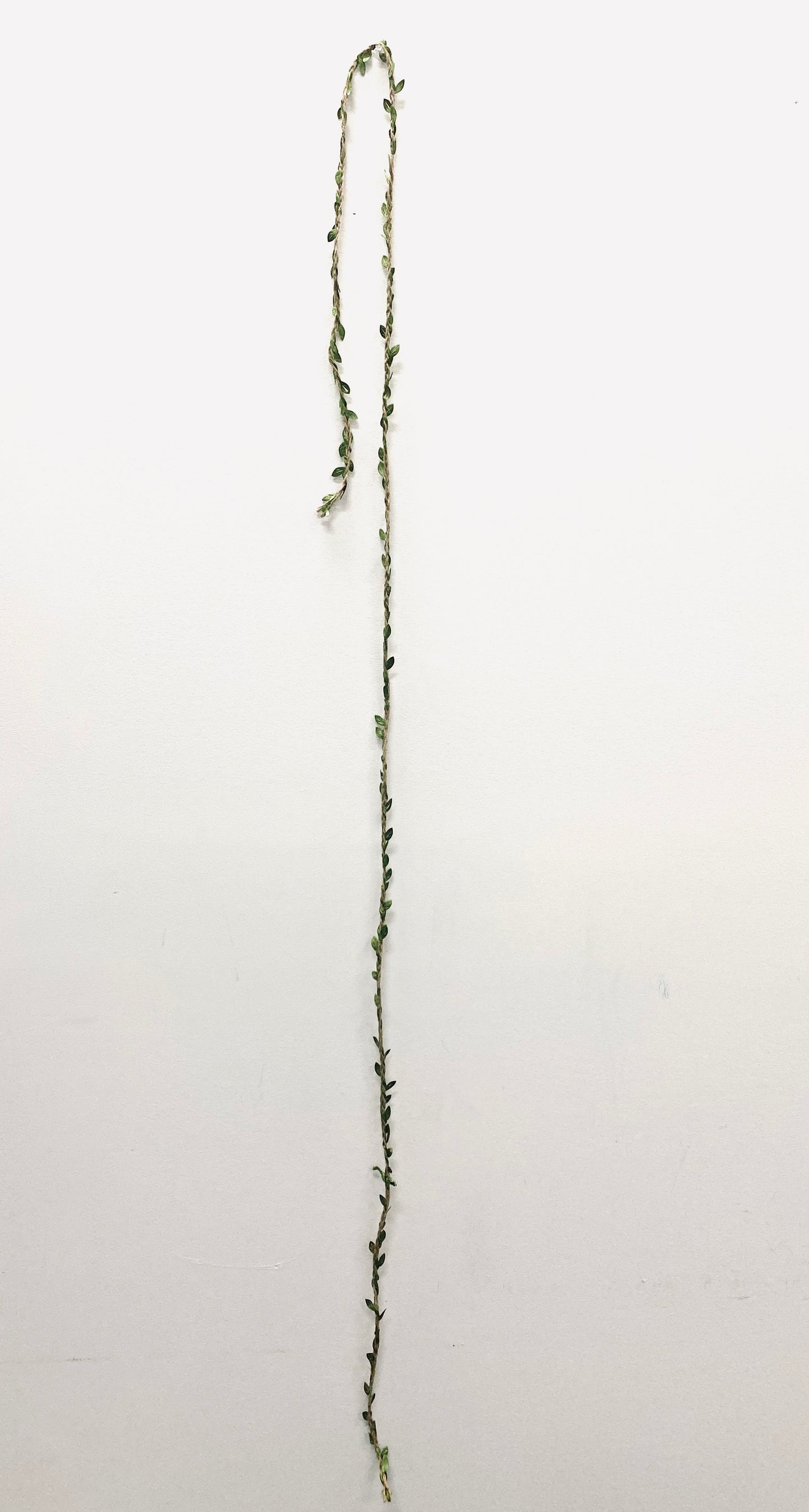 Braided Twine & Leaves Balloon Tail
