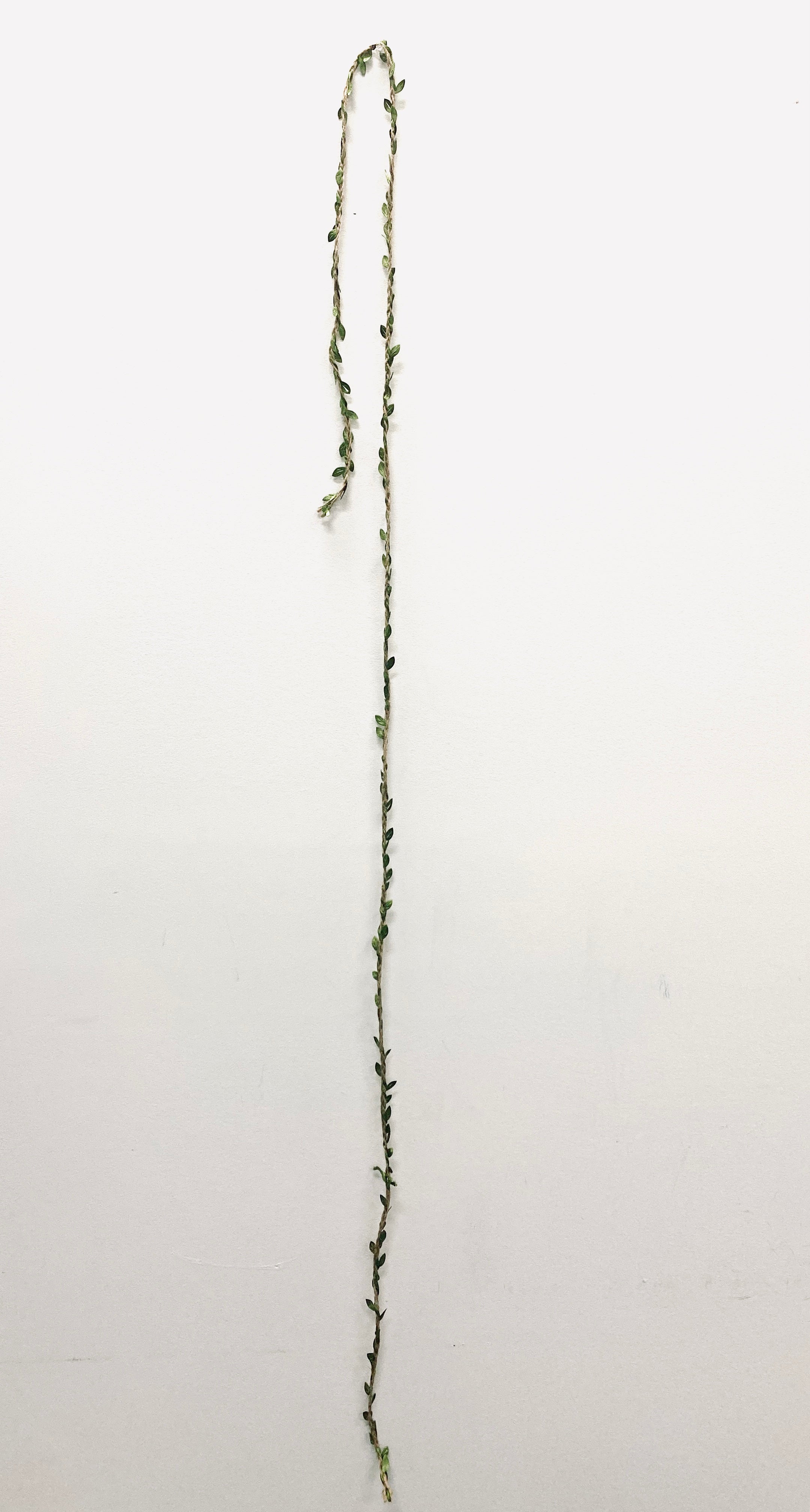 Braided Twine & Leaves Balloon Tail