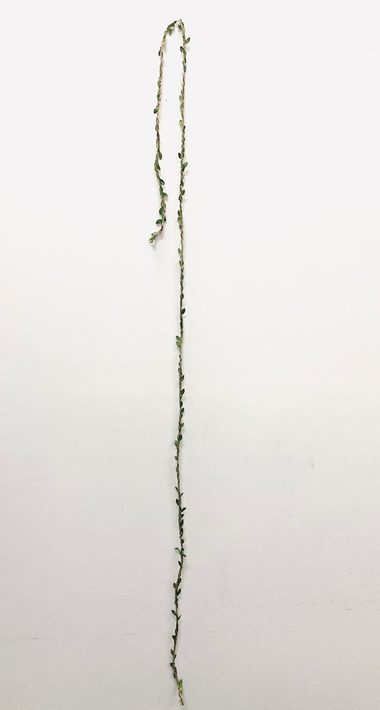 Braided Twine & Leaves Balloon Tail