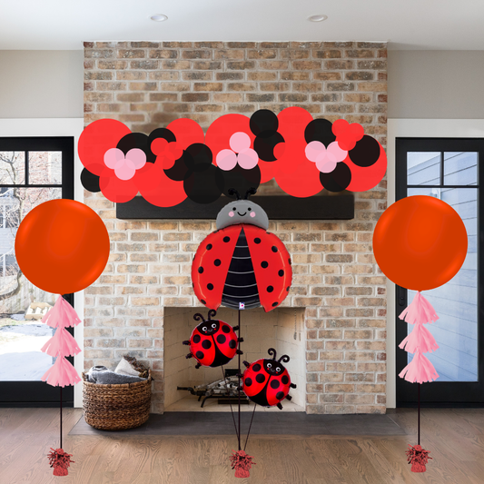 Ladybug Balloon Decor Package