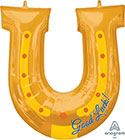 Horseshoe Good Luck! (DNR)